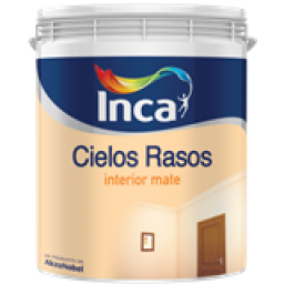 CIELOS RASOS 20LT INCA