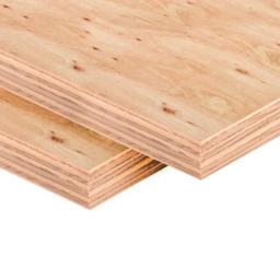 FENOLICO PINO 12mm CDX