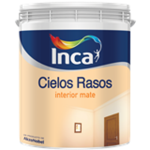 CIELOS RASOS 20LT INCA