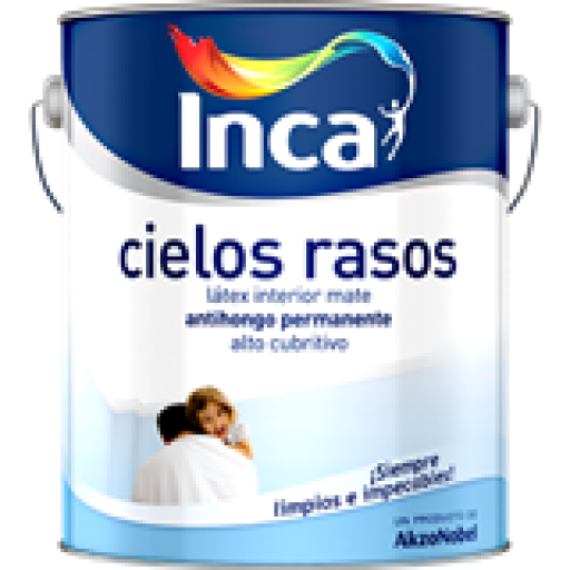 CIELOS RASOS 4LT INCA