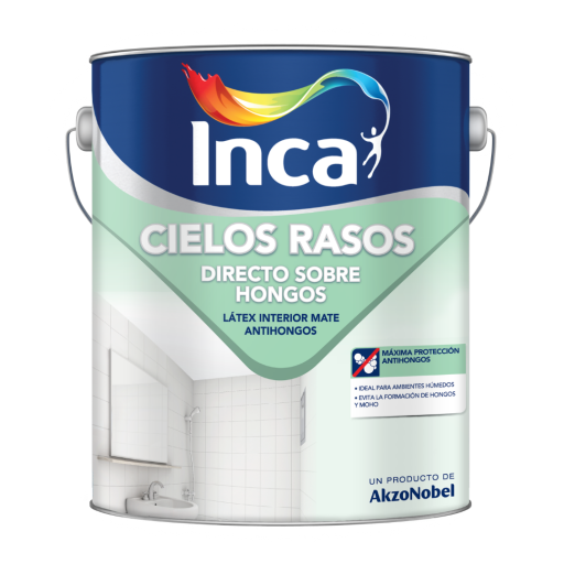 CIELOS RASOS DIRECTO S/HONGOS 4LT INCA