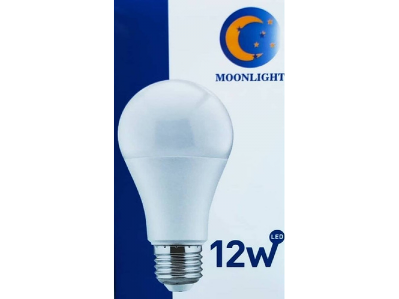 LAMPARA LED 12W FRIA